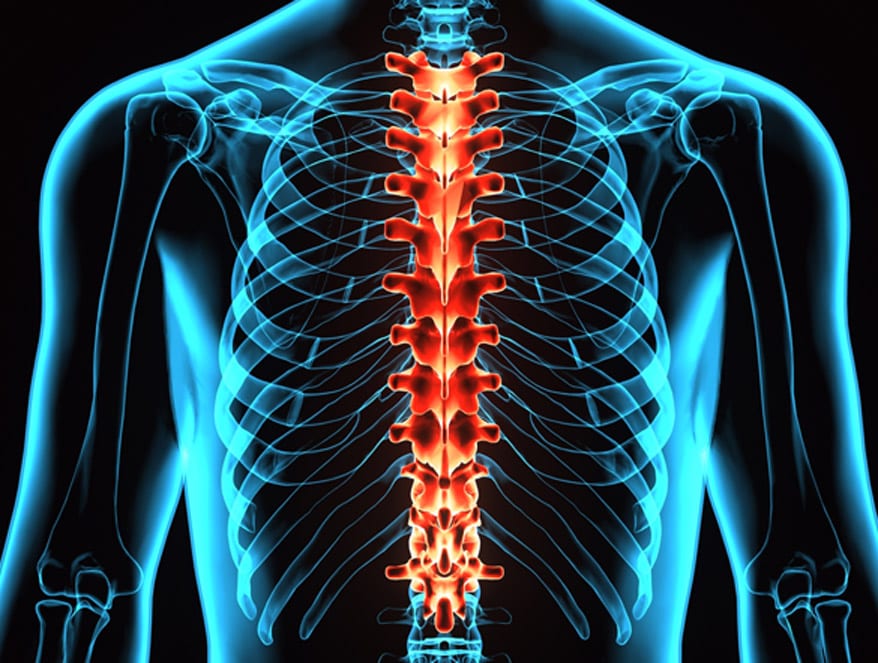Digital-illustration-of-the-human-skeleton-and-spine